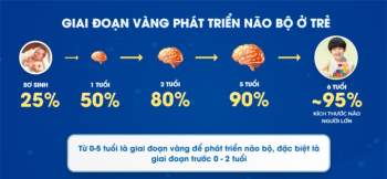 Giai đoạn vàng phát triển não bộ ở trẻ: Cần bổ sung dinh dưỡng ra sao? - 1