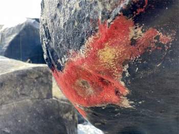 Hiện tượng lạ: Tảng đá 'nở hoa' ở Quảng Nam ảnh 4