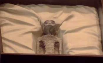 Hoá thạch 1.000 năm tuổi của ‘người ngoài hành tinh’ được đưa ra Quốc hội Mexico ảnh 1