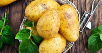 Lợi ích bất ngờ khi ăn khoai tây với cách chế biến tối ưu giữ trọn dinh dưỡng - 1