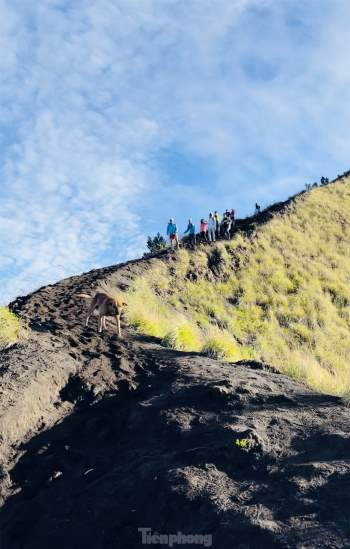  'Săn mây, đón bình minh' trên đỉnh núi lửa Batur ảnh 10