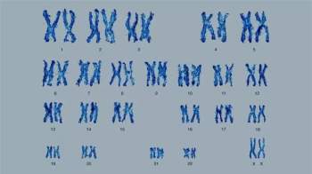 Tại sao con người chỉ có 23 cặp nhiễm sắc thể, trong khi những loài họ hàng gần của chúng ta lại có 24? - Ảnh 5.