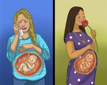 thai nhi, mang bầu, trẻ sơ sinh