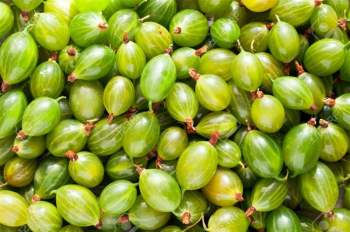 64908044-fresh-green-gooseberries-background-berries-texture-top-view 4