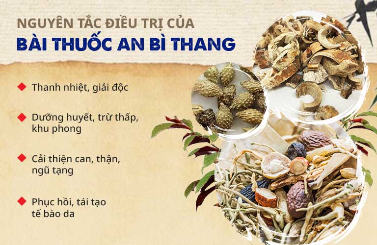 Cơ chế điều trị viêm da tiết bã của bài thuốc An Bì Thang