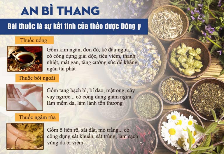 Công dụng, thành phần của các chế phẩm trong bài thuốc An Bì Thang