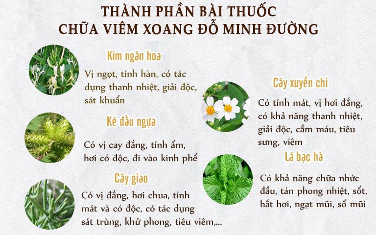 Thành phần bài thuốc chữa viêm xoang Đỗ Minh Đường