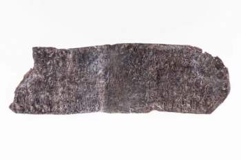 Một dòng chữ 1.100 năm tuổi được tìm thấy trên một tấm giáp che ngực được khai quật trong tàn tích của một pháo đài Bulgary có thể là một trong những văn bản Cyrillic lâu đời nhất từng được tìm thấy.