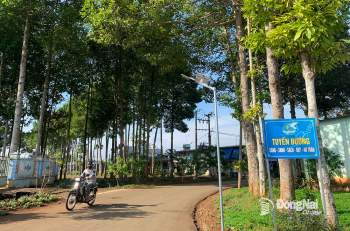 Tuyến đường nông thôn xanh mát tại xã Xuân Thiện, H.Thống Nhất. Ảnh: B.Nguyên