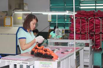 Sản xuất giày thể thao xuất khẩu tại Công ty CP TKG Taekwang Vina (TP.Biên Hòa). Ảnh: H.Lộc