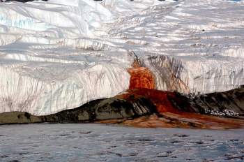4. Tại Thác Máu ở Nam Cực - nơi mà nước đỏ như máu rơi xuống băng - mọi thứ đều tràn ngập sự kỳ bí. Hình thành cách đây 2 triệu năm từ hồ nước mặn trong lòng sông băng Taylor, hàm lượng sắt cao đã tạo nên vẻ đẹp cuốn hút và màu sắc độc đáo của thác nước này.