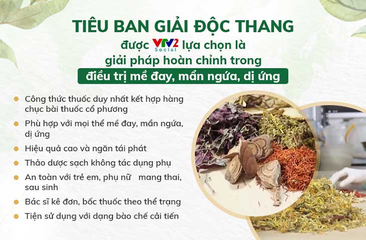 Bài thuốc Tiêu ban Giải độc thang được VTV2 đưa tin