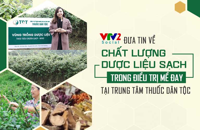 Hình ảnh vườn dược liệu sạch của Trung tâm Thuốc dân tộc được đưa tin trên VTV2