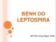 Bài giảng Bệnh do leptospira - BS.Trần Song Ngọc Châu
