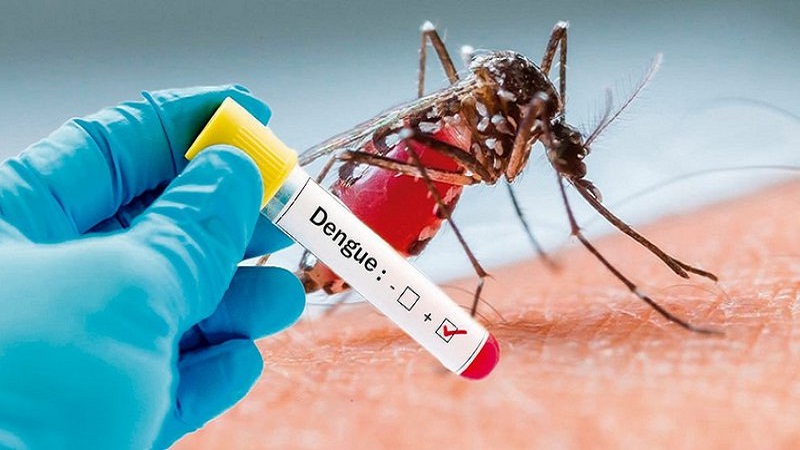 [Bệnh Án] Bệnh Án Sốt Xuất Huyết Dengue