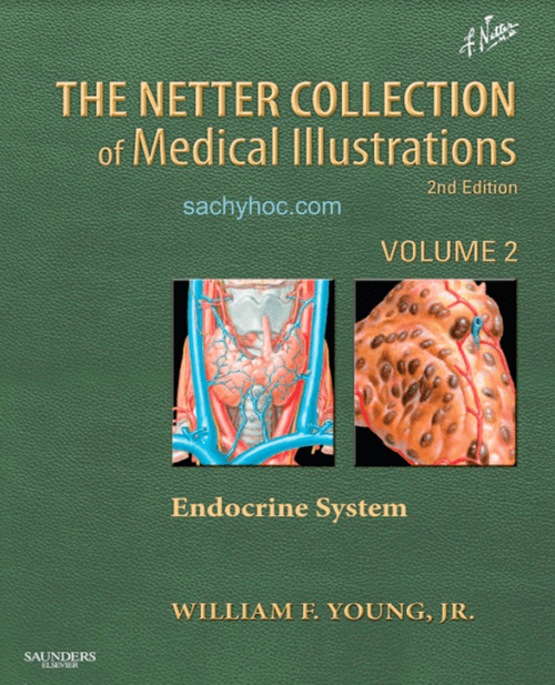 [Bộ sưu tập Minh họa y tế của Netter] Tập 2. Hệ thống Nội tiết, 2e