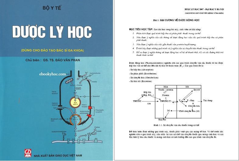 [PDF] Dược Lý Học (Đào Tạo Bác Sĩ Đa khoa) – Đại Học Y Hà Nội