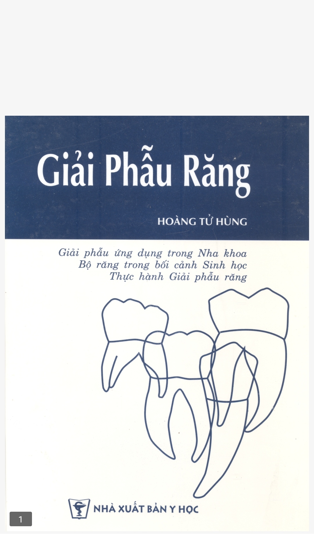 [Tài Liệu] Giải Phẫu Răng – Đại Học Y Dược TPHCM